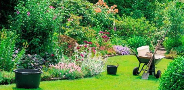 Lepiej zapobiegać niż leczyć – profilaktyczne metody ochrony roślin przed chorobami