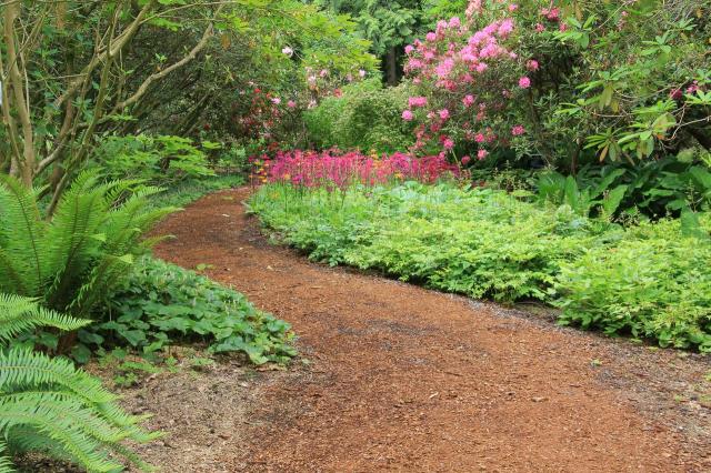 ścieżki w ogrodzie, ścieżki z drewna, ścieżki z kamienia, ścieżki ogrodowe, pomysły do ogrodu, dodatki do ogrodu, ogród 