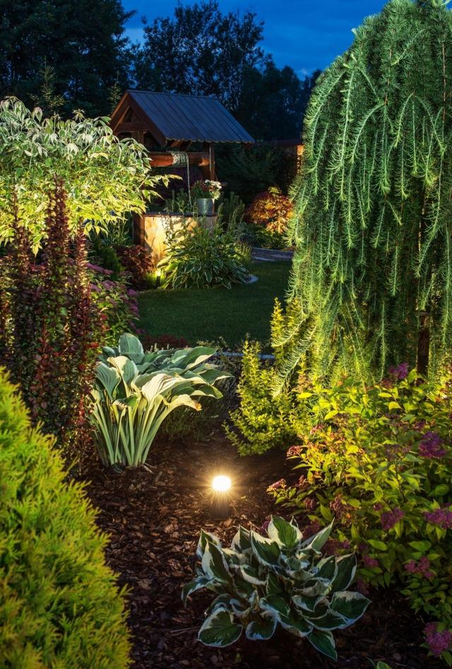ogród inspiracje, ogrody aranżacje, ogród z iglakami, kompozycje roślinne, pomysł na ogród, ogród 2017 trendy 