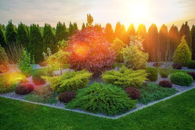 ogród z iglakami, kompozycje roślinne, pomysł na ogród, ogród 2017 trendy, ogród inspiracje, ogrody aranżacje 