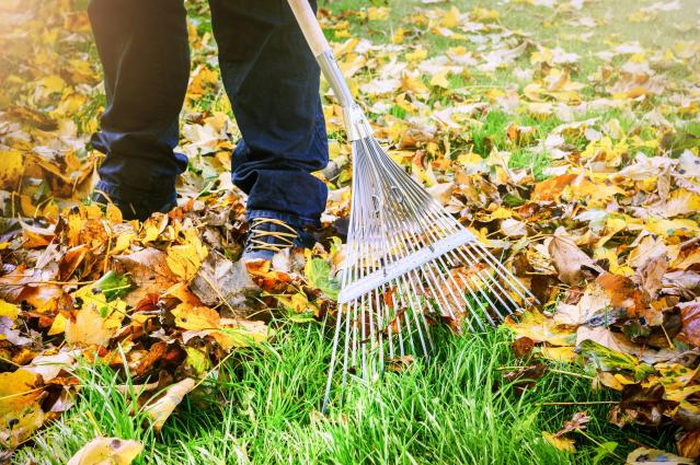 Jesienny niezbędnik: co powinnaś wykonać w domu i ogrodzie?