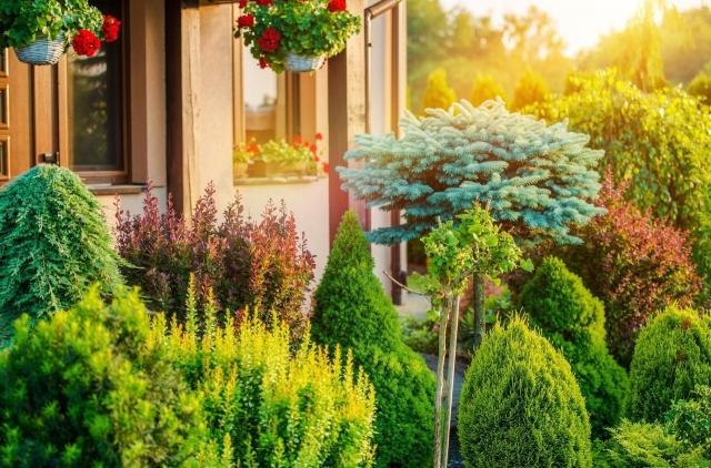 5 zasad dobrze urządzonego ogrodu